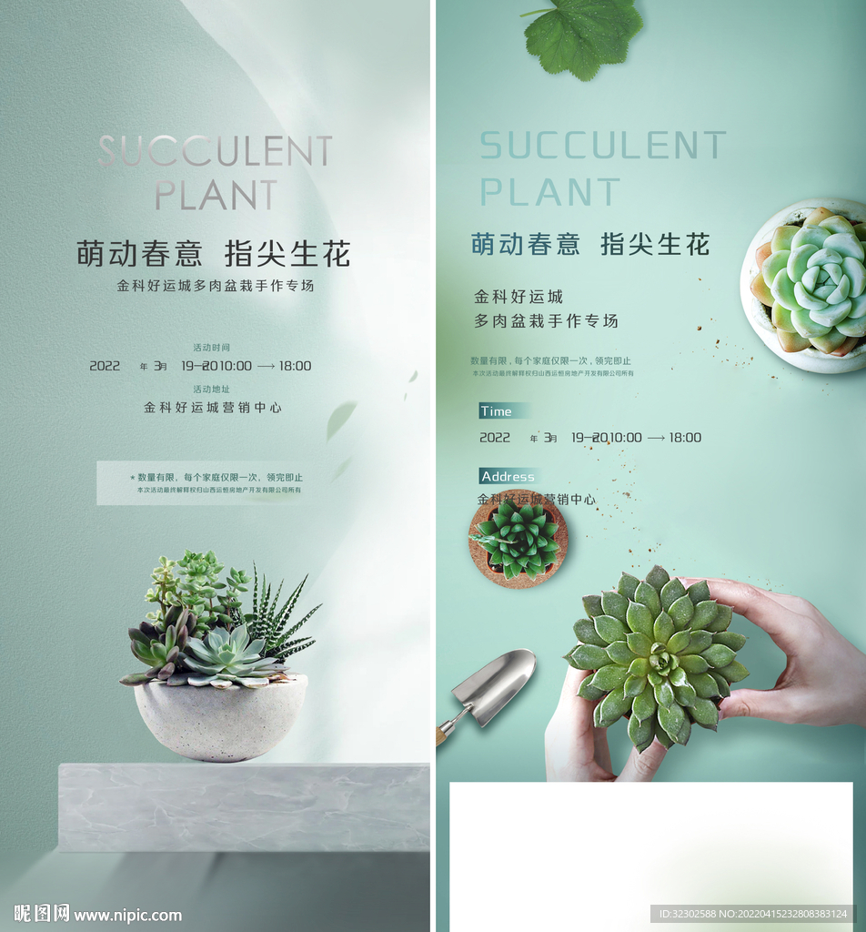 多肉 地产活动