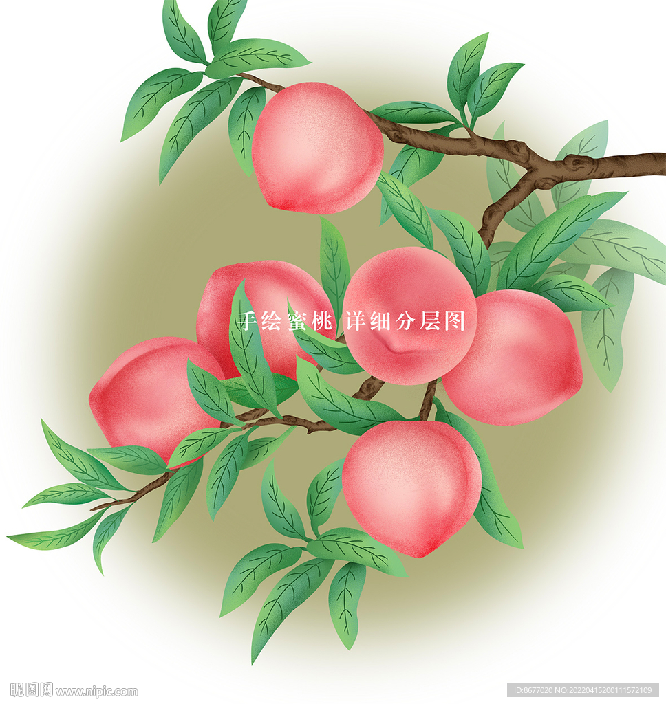 手绘蜜桃插画