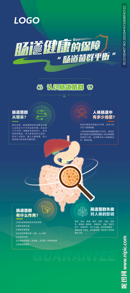 肠道健康的保障