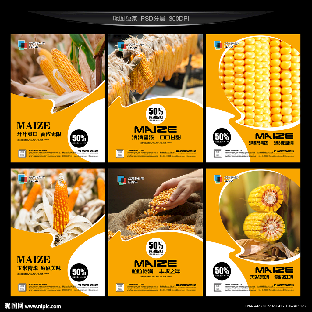 玉米种子图片素材-编号15793558-图行天下