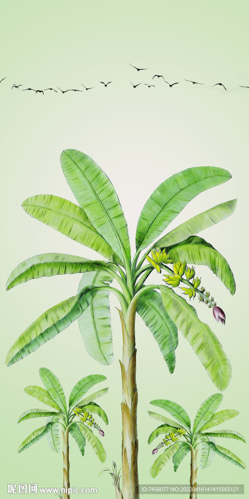 香蕉树简约玄关装饰画