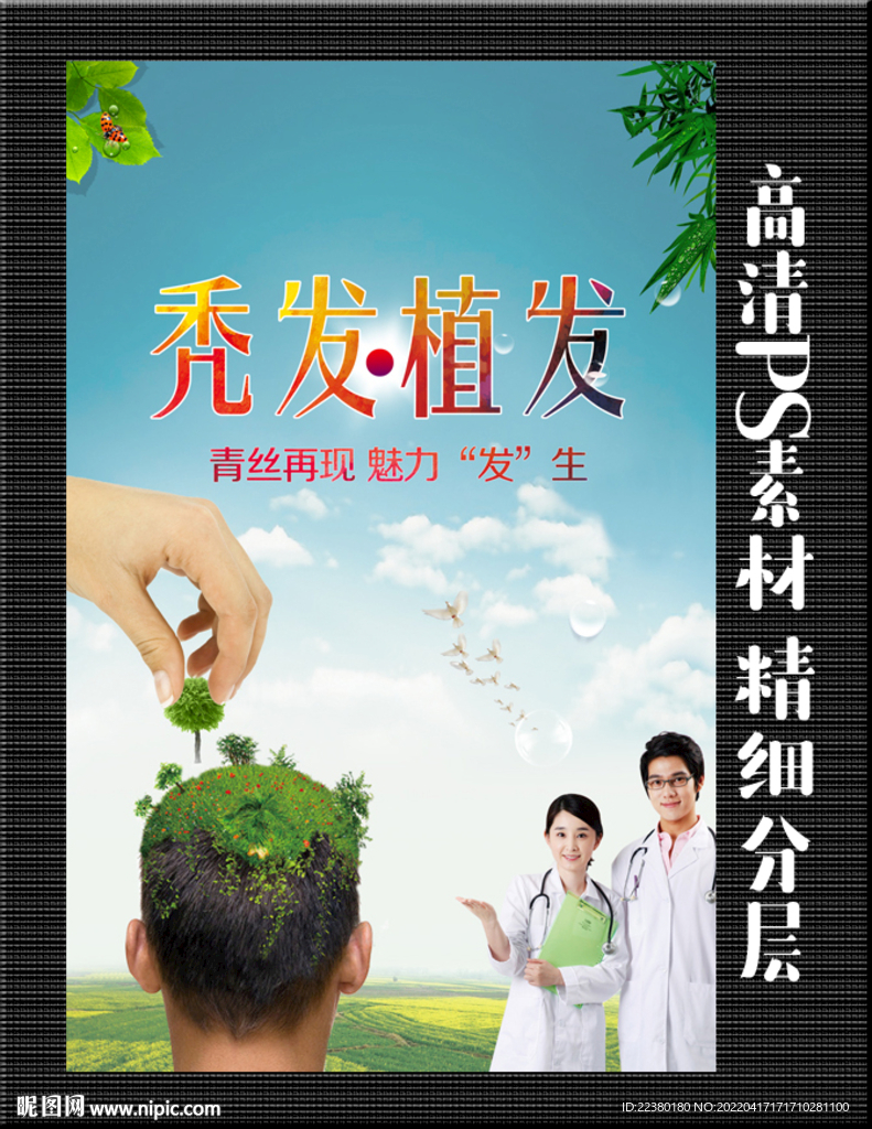 秃头 植发 