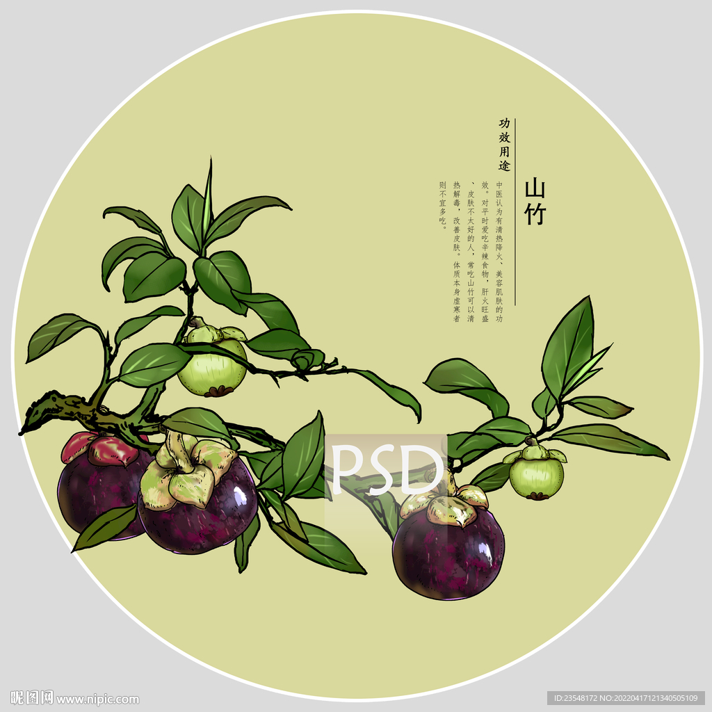 山竹包装手绘装饰画