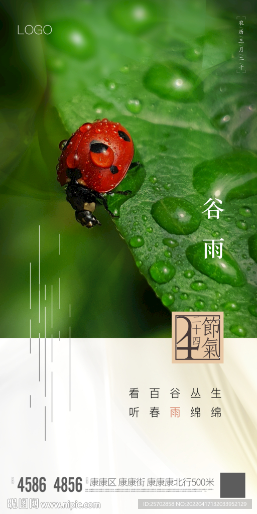 谷雨
