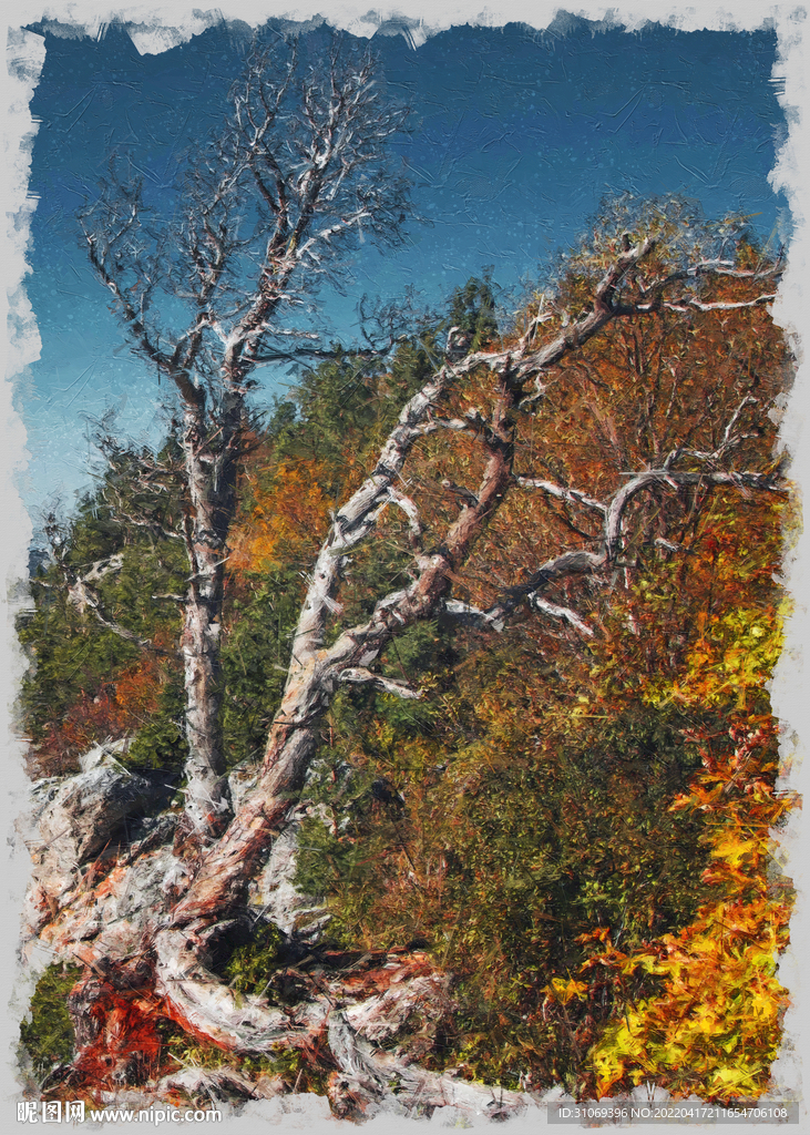 50X70数字油画装饰画枯树