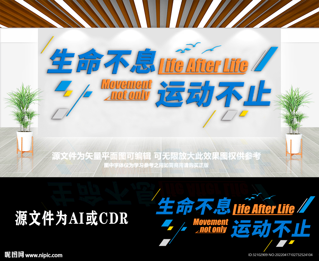 创意大气体育运动文化墙 