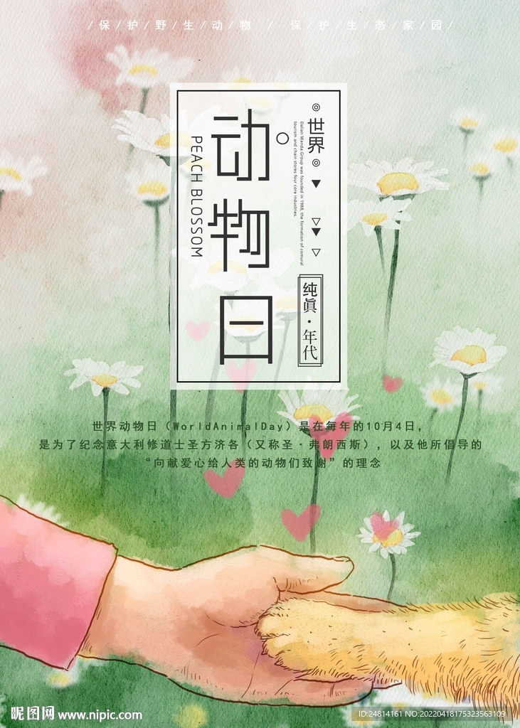 爱护小动物公益唯美海报