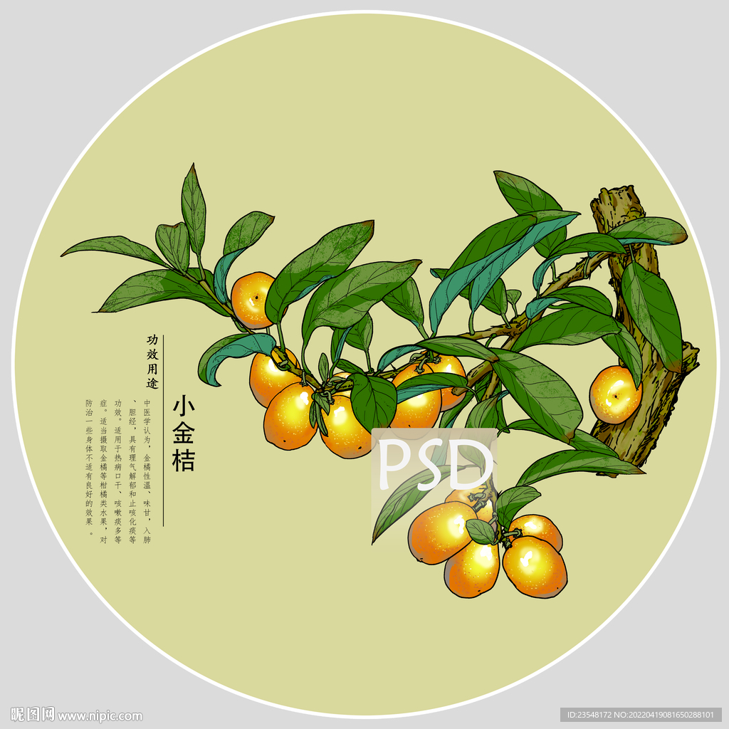 小金桔包装手绘装饰画