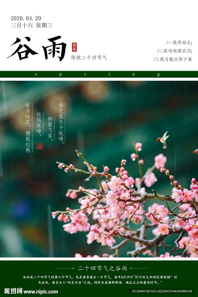 谷雨海报