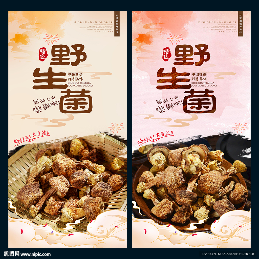 野生菌
