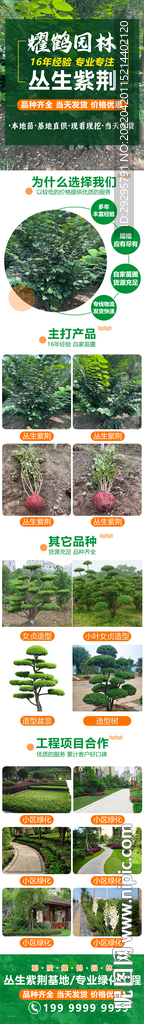 苗木落地页
