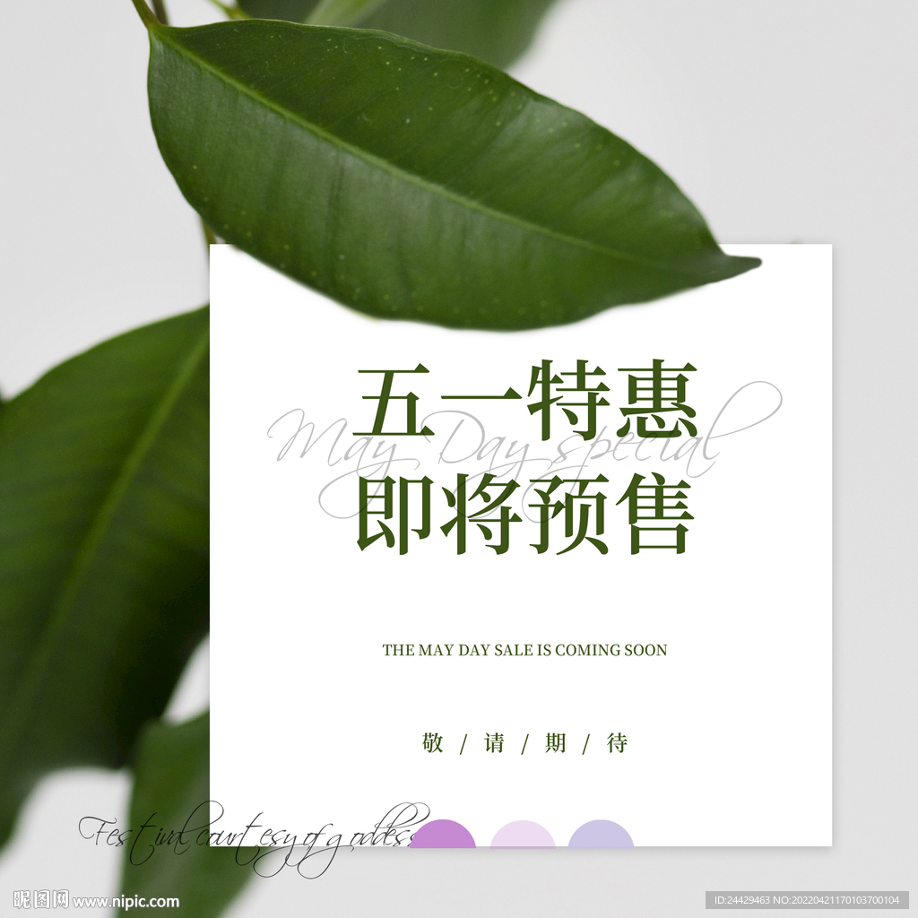 预售海报