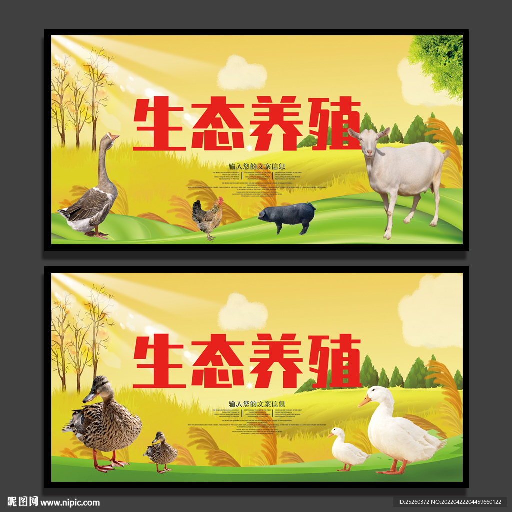 生态养殖