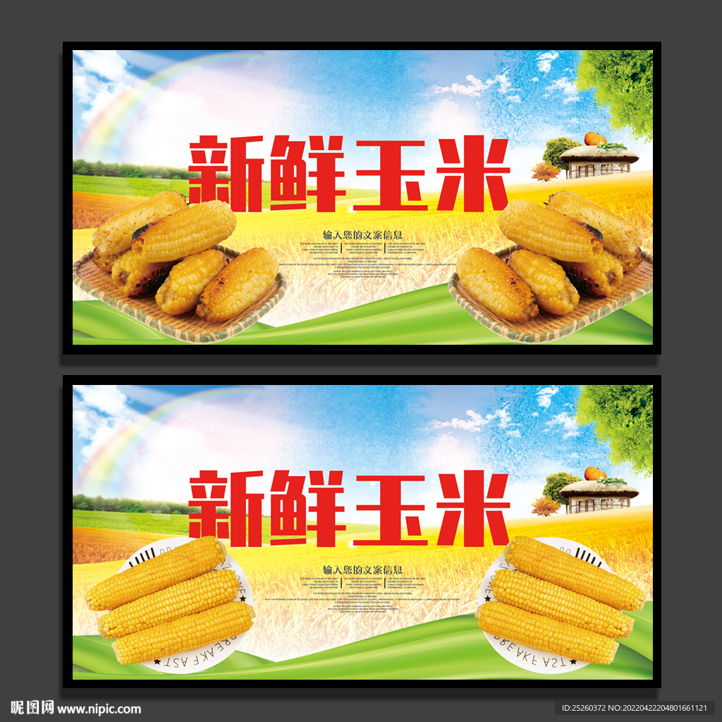 玉米
