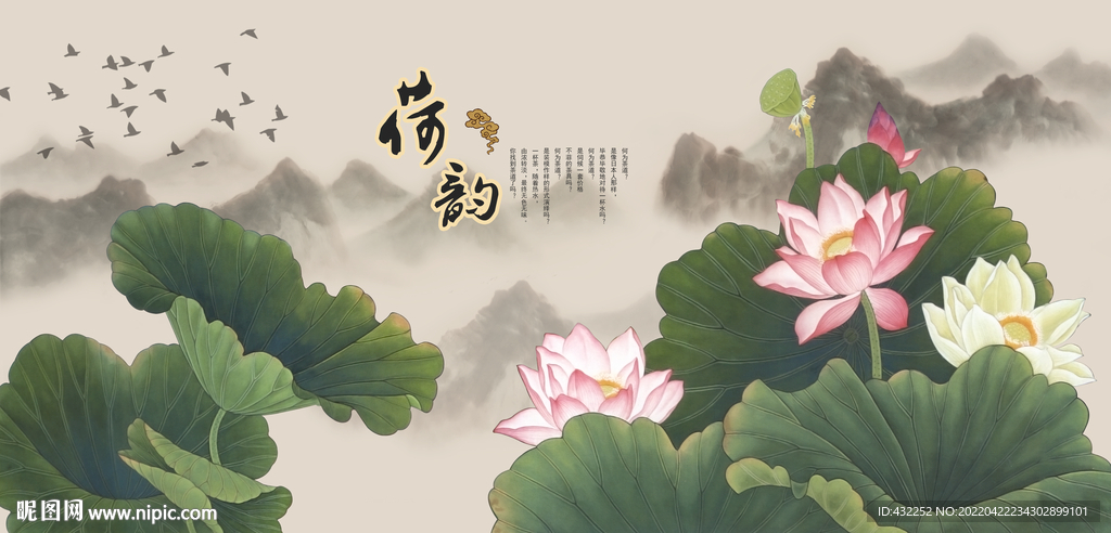 荷花