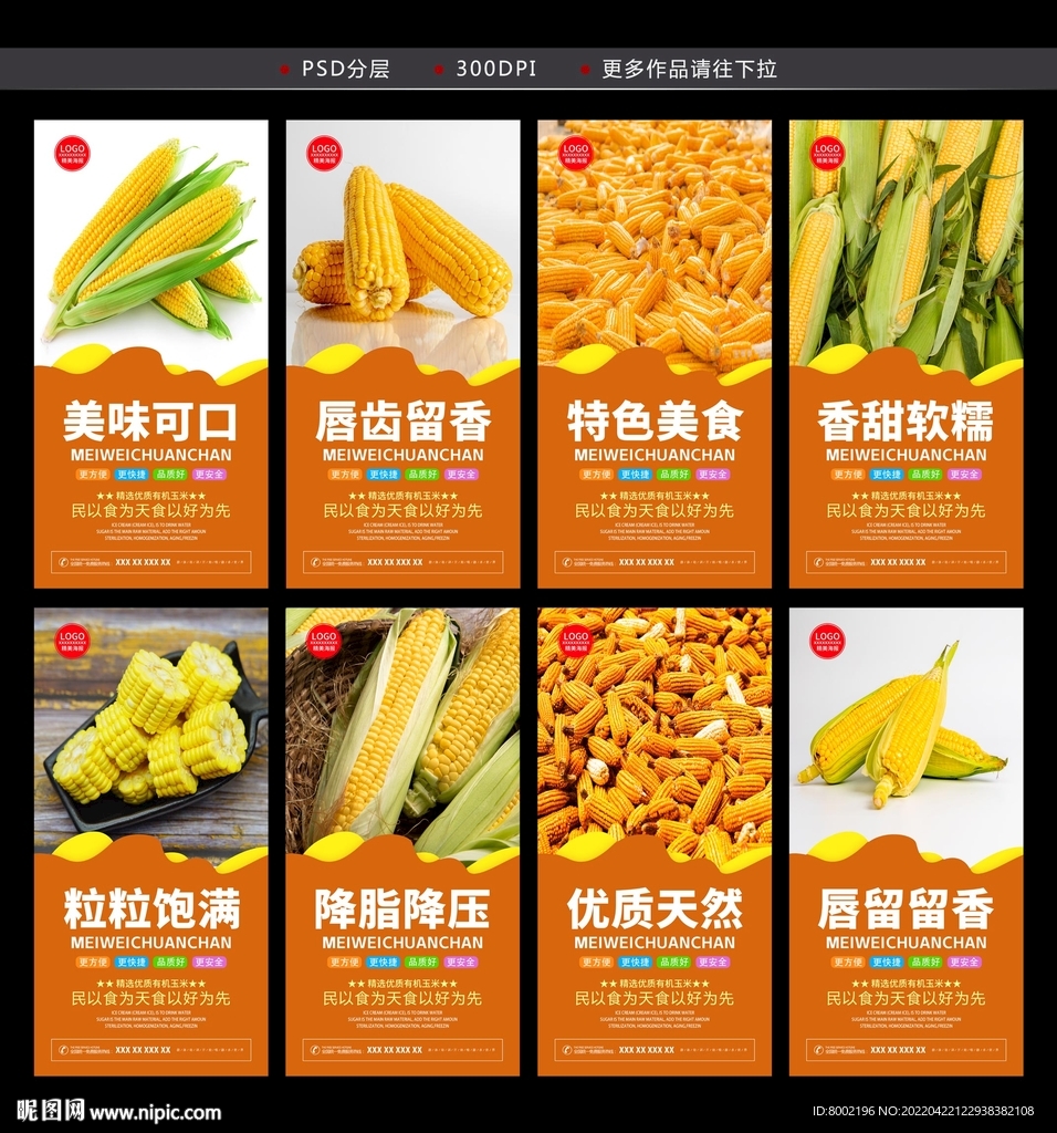 玉米种子