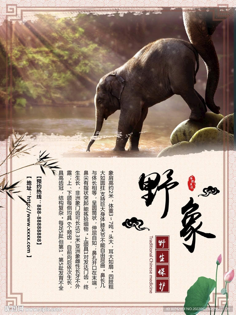 野象