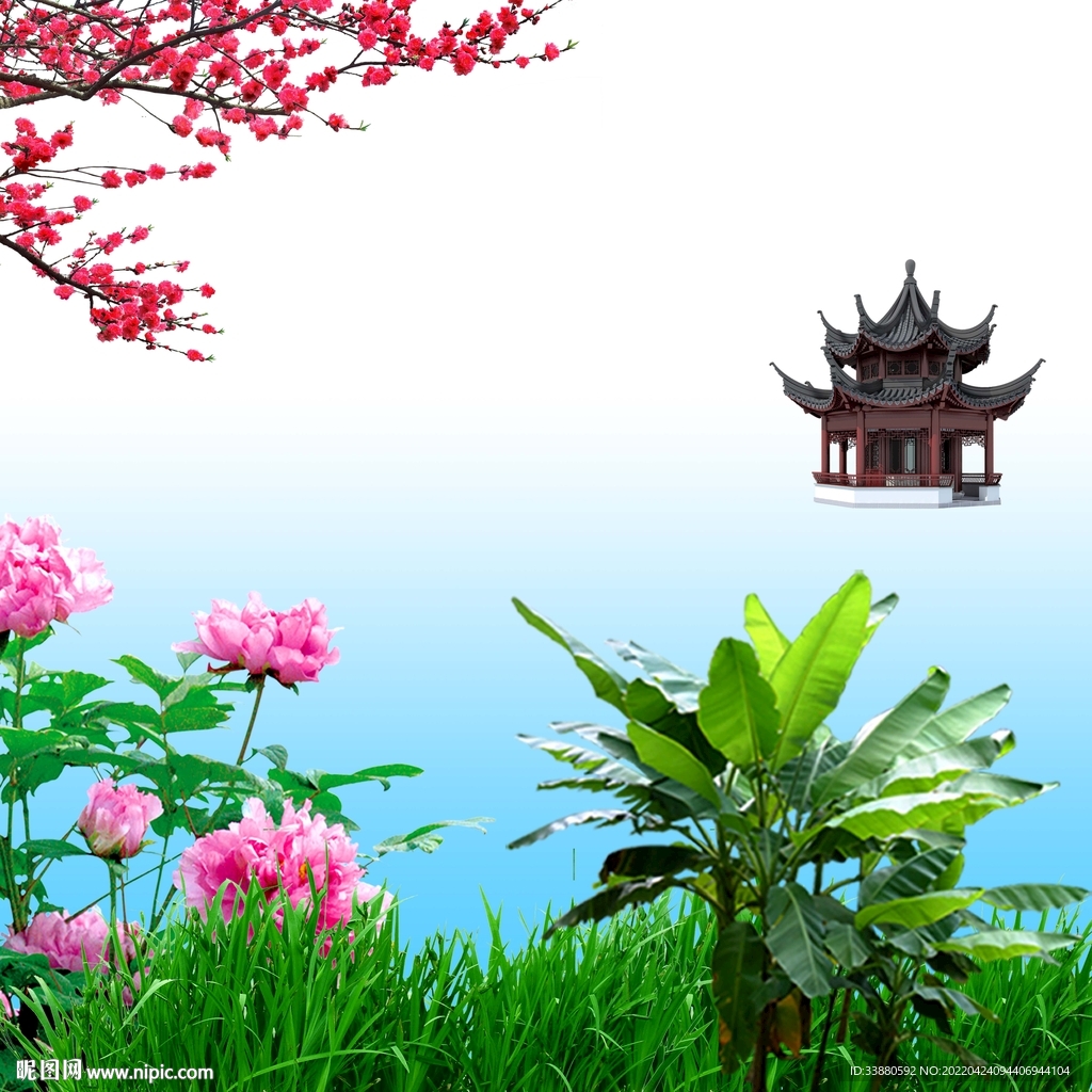牡丹草丛