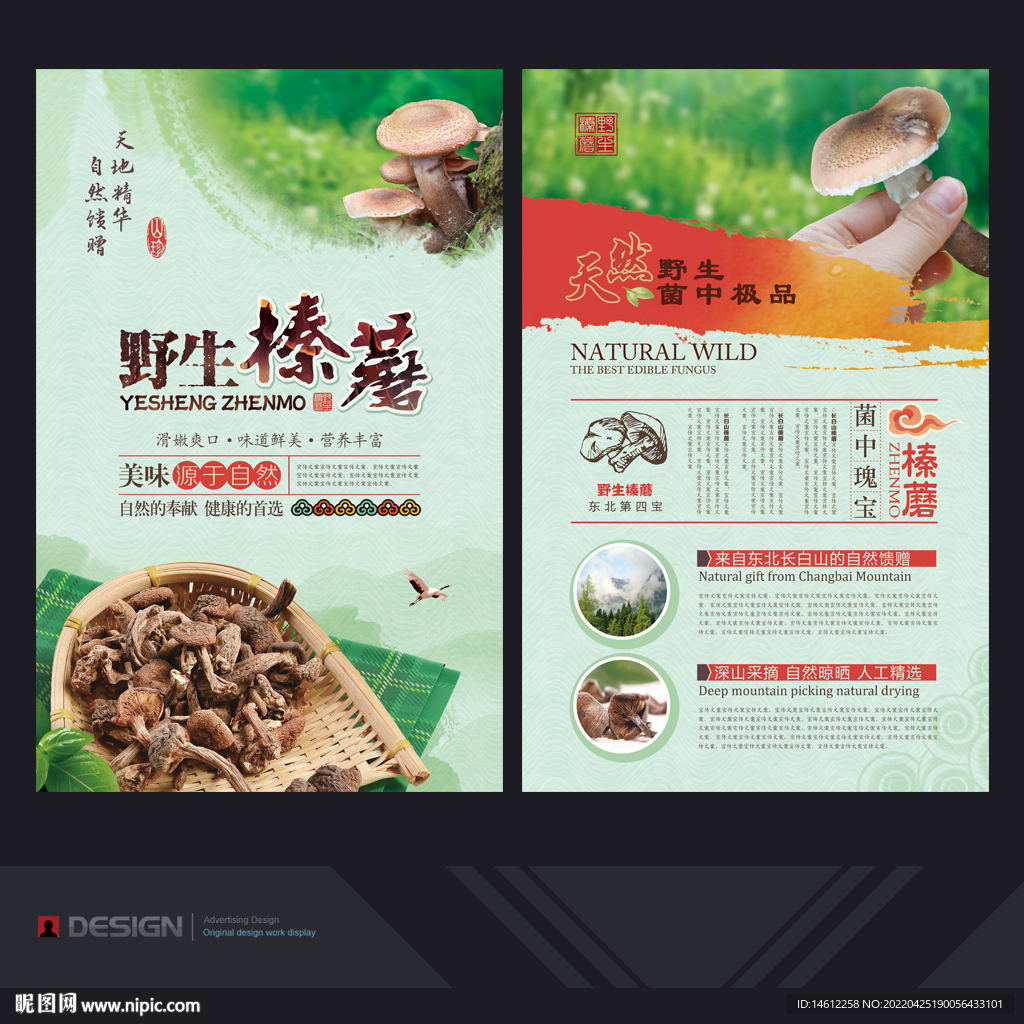 榛蘑