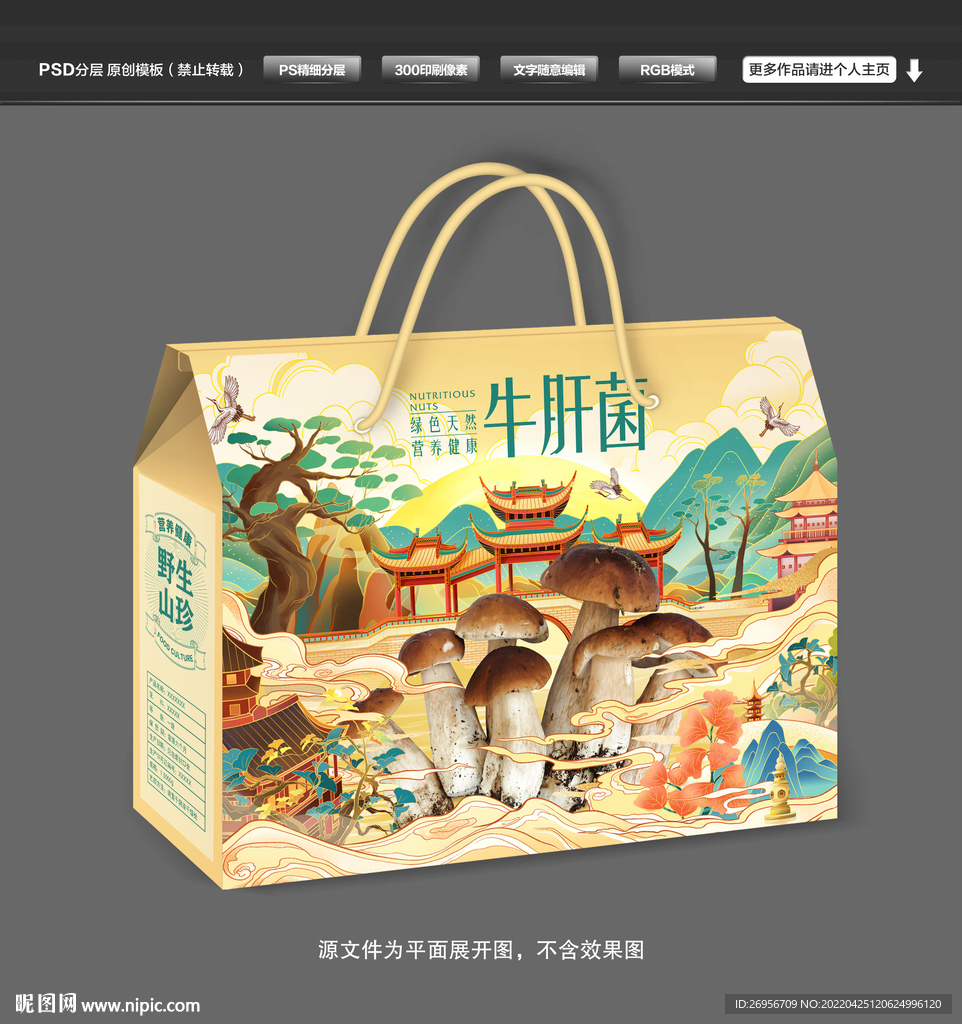 牛肝菌包装 