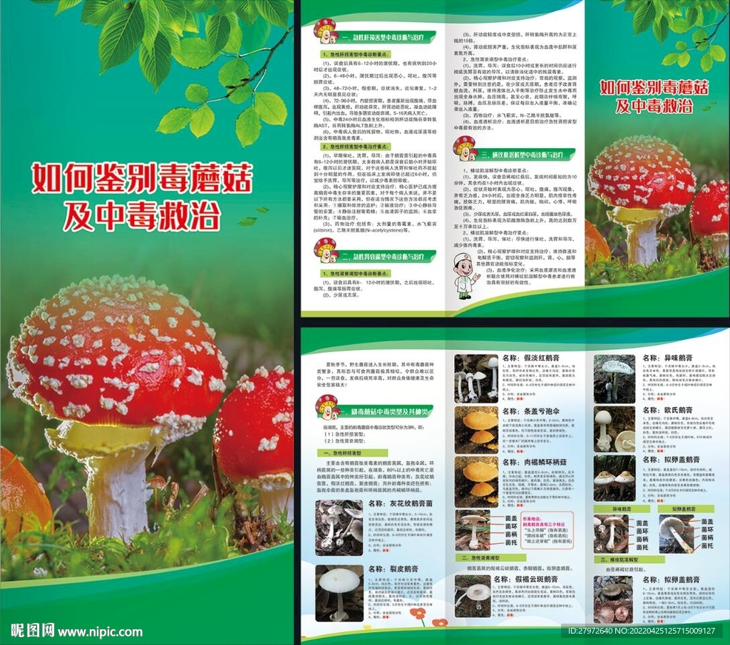 毒蘑菇