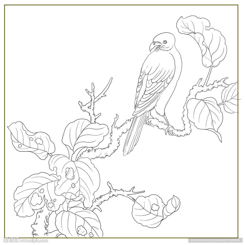 花鸟图