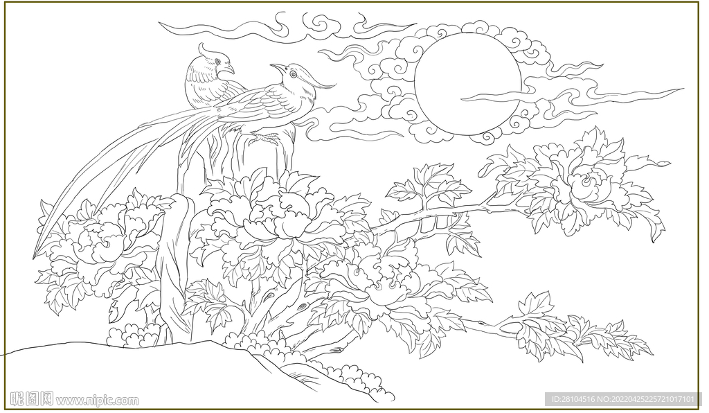 牡丹