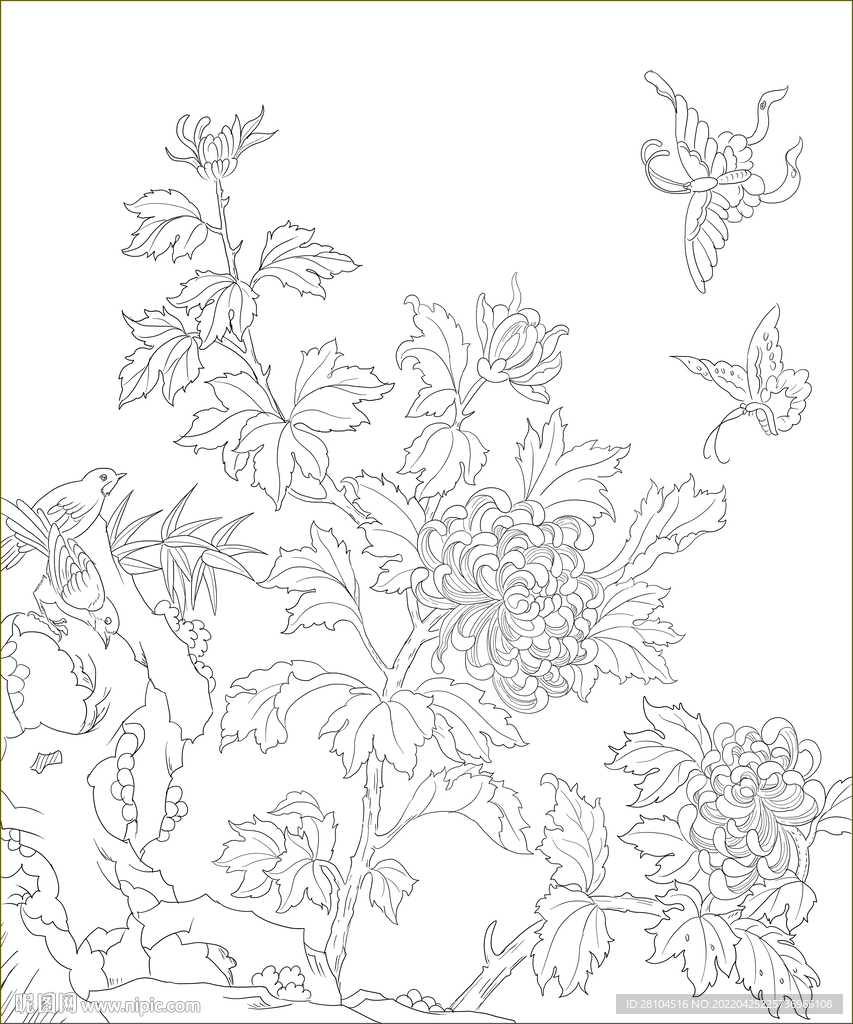 菊花