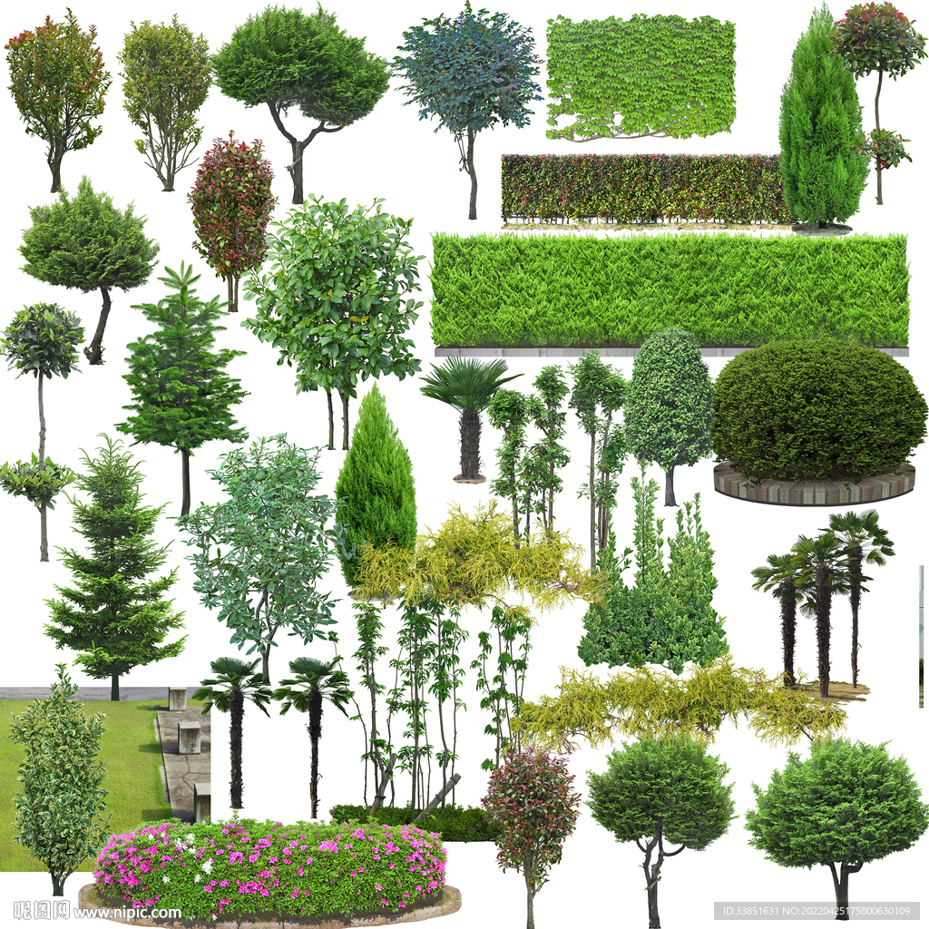 植物后期素材