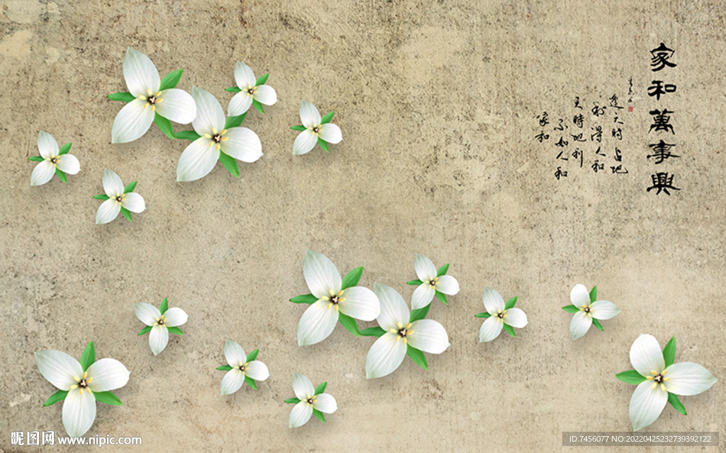 小白花高清背景墙