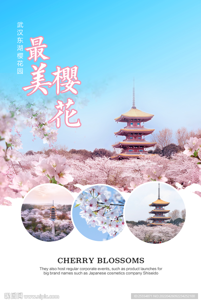 樱花海报