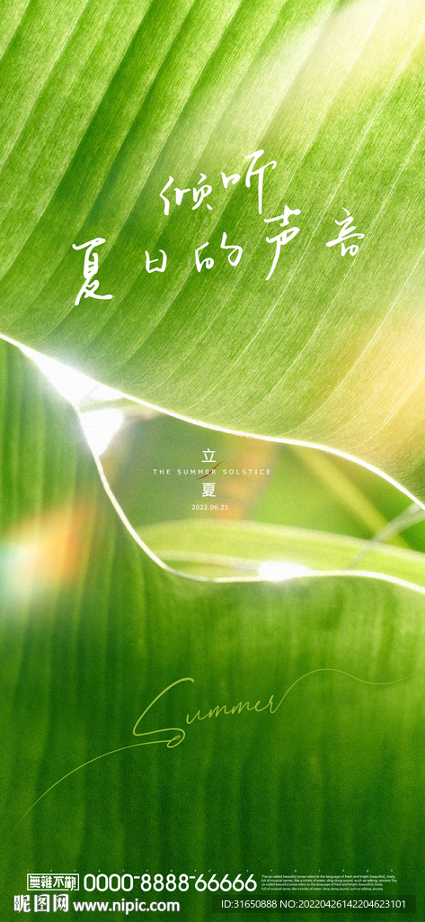 立夏