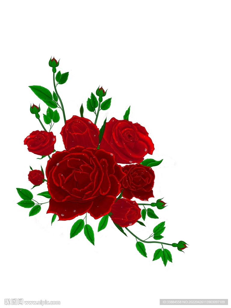 艺术玫瑰花花卉素材