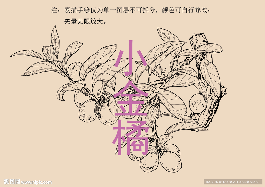 小金橘