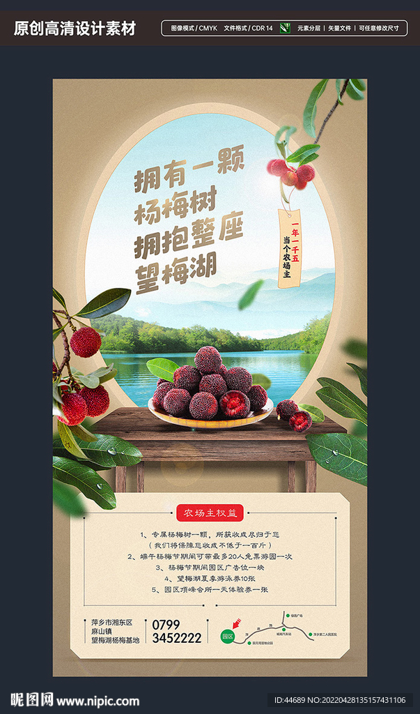 杨梅农场海报