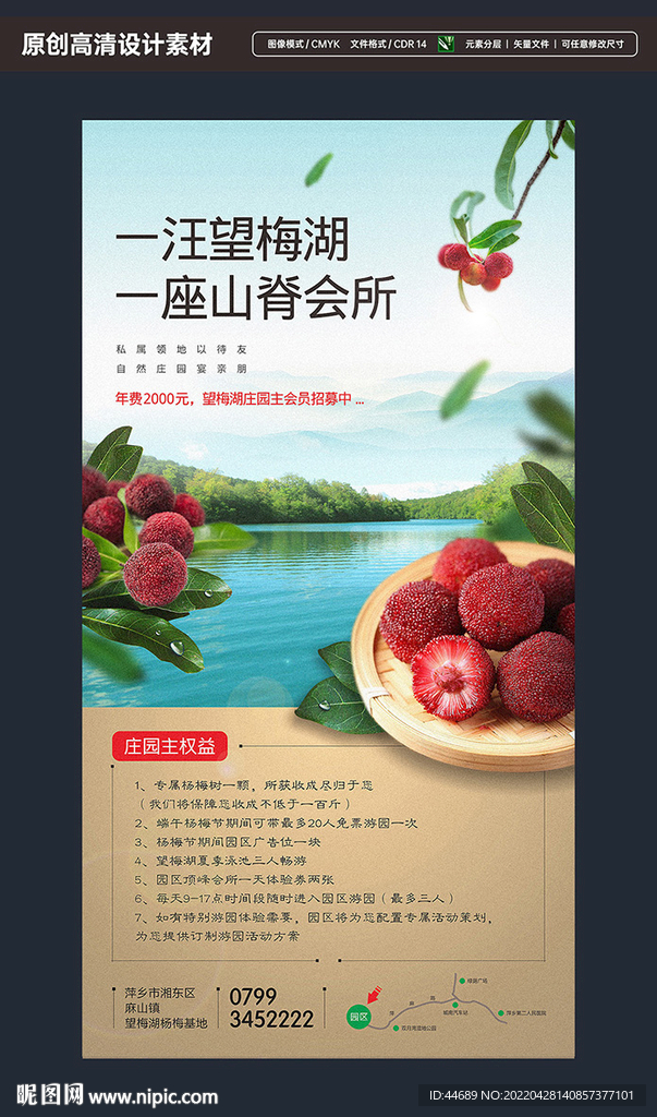 杨梅农场海报