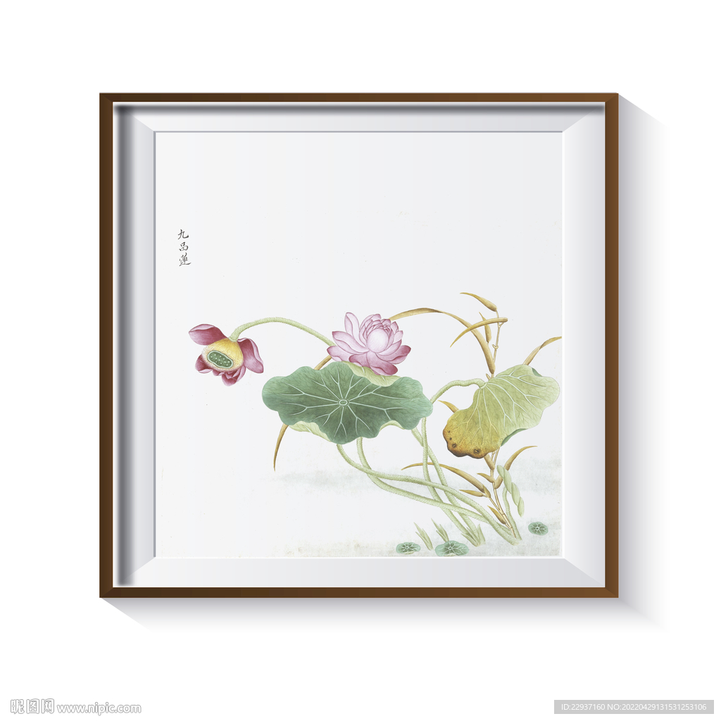 荷花装饰画