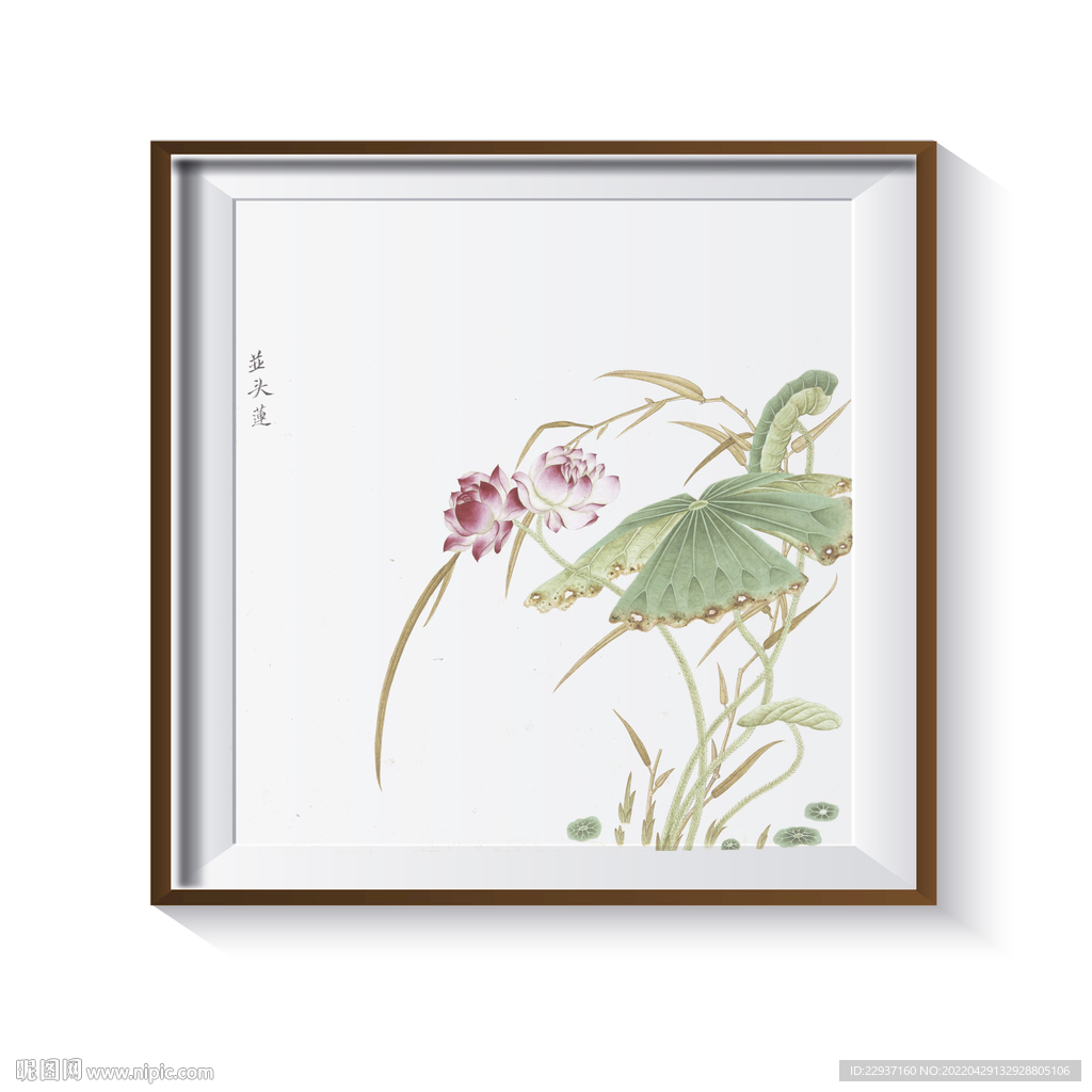 荷花装饰画