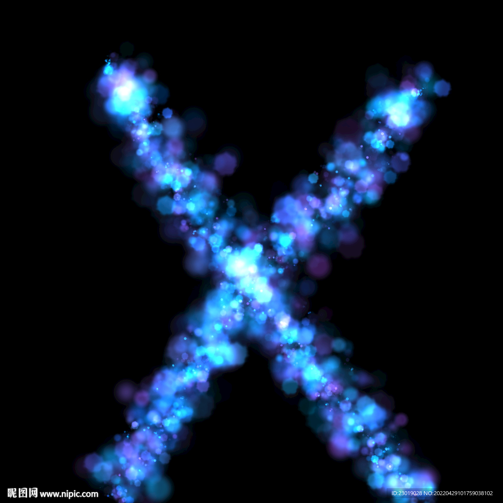 字母X