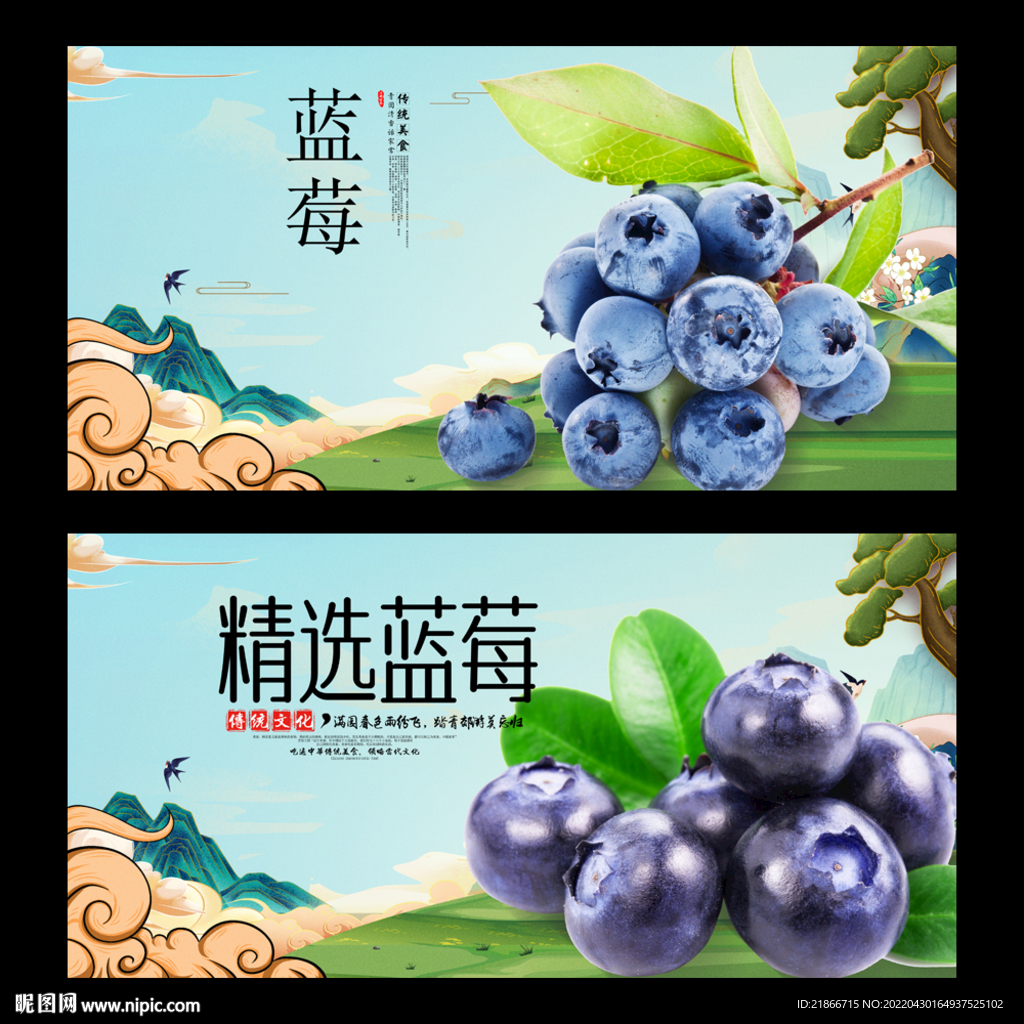 蓝莓