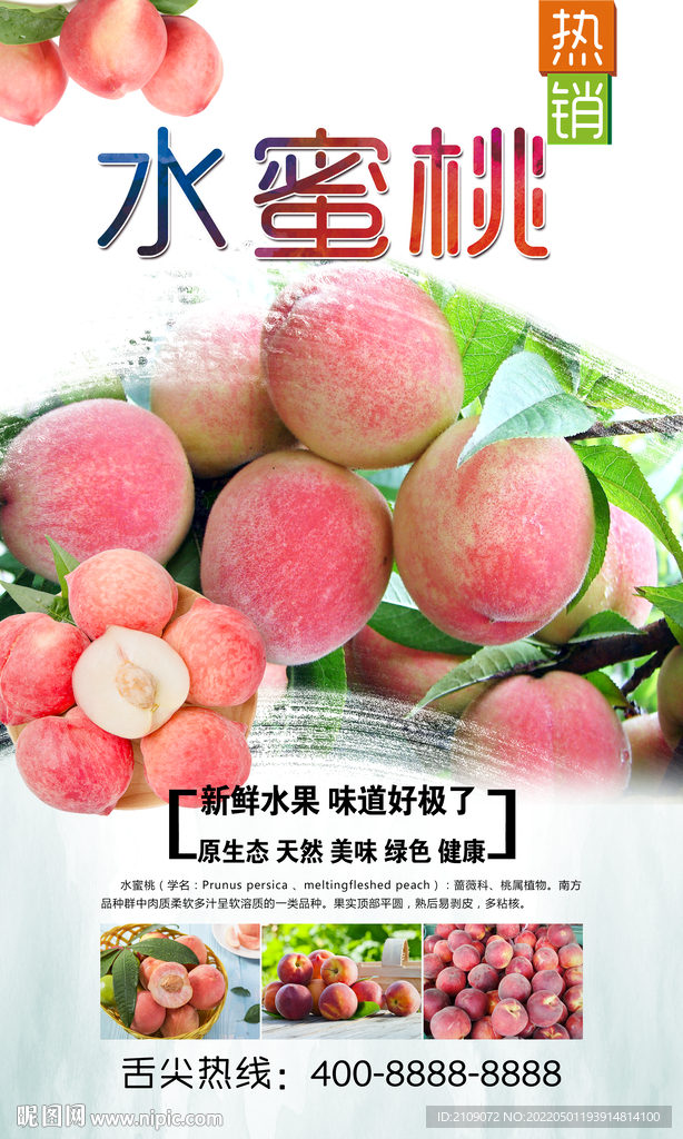 水蜜桃  
