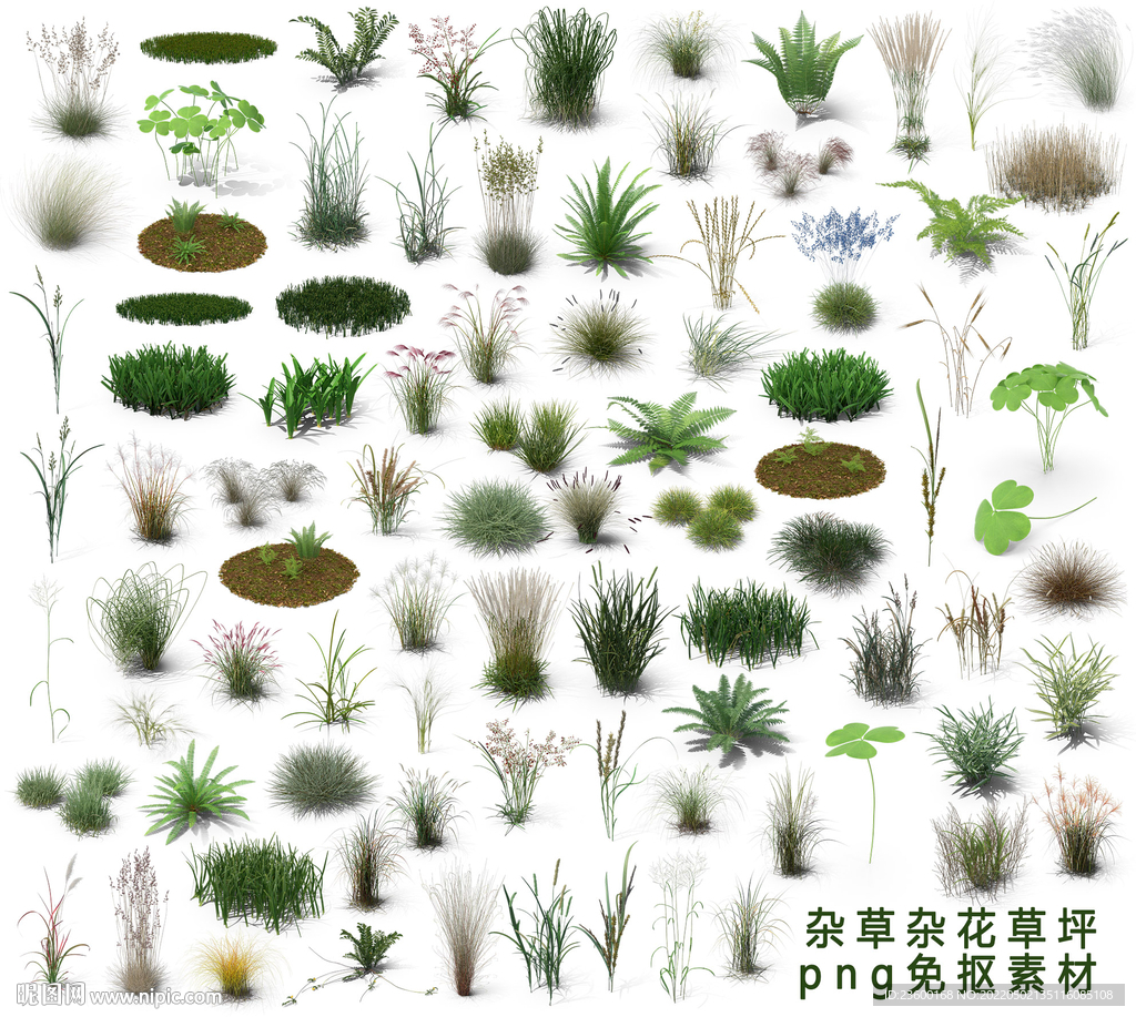 杂草素材