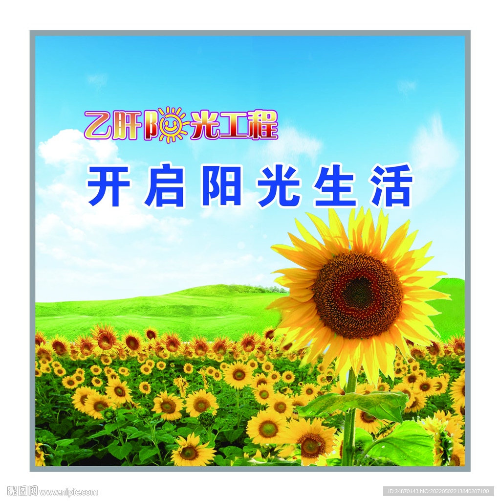 向日葵