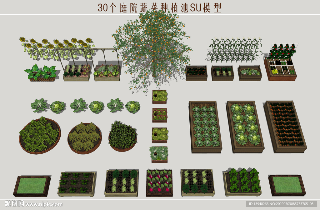 蔬菜种植池
