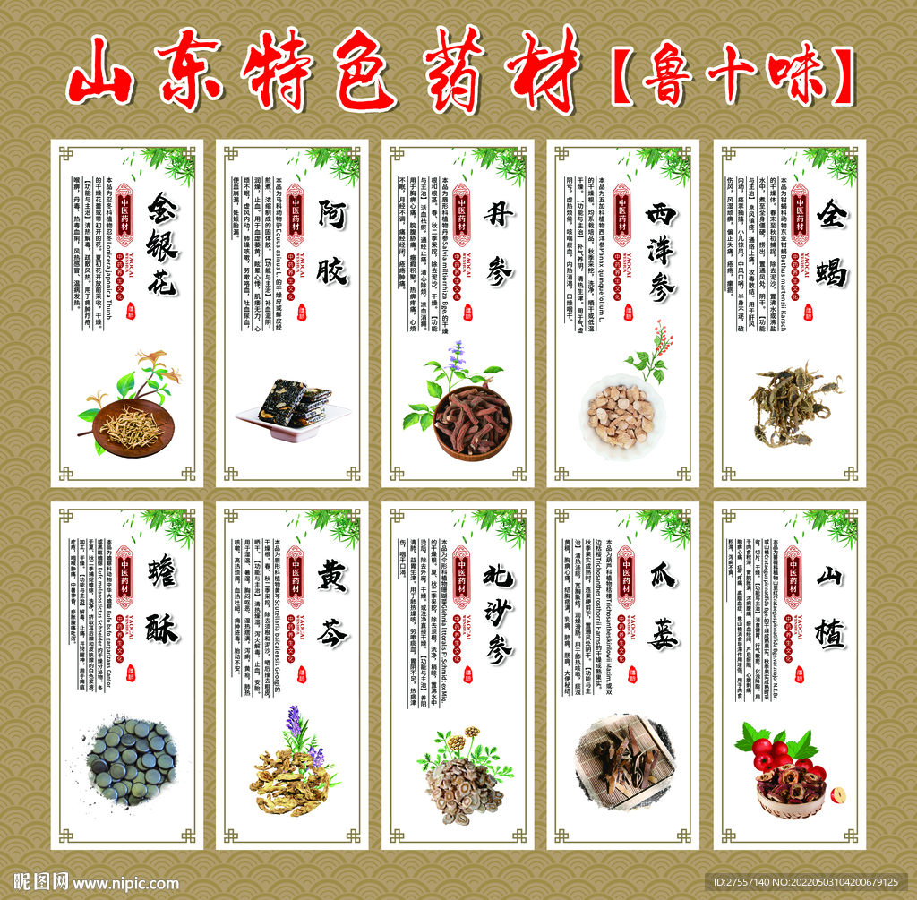 山东特色药材【鲁十味】中药文化