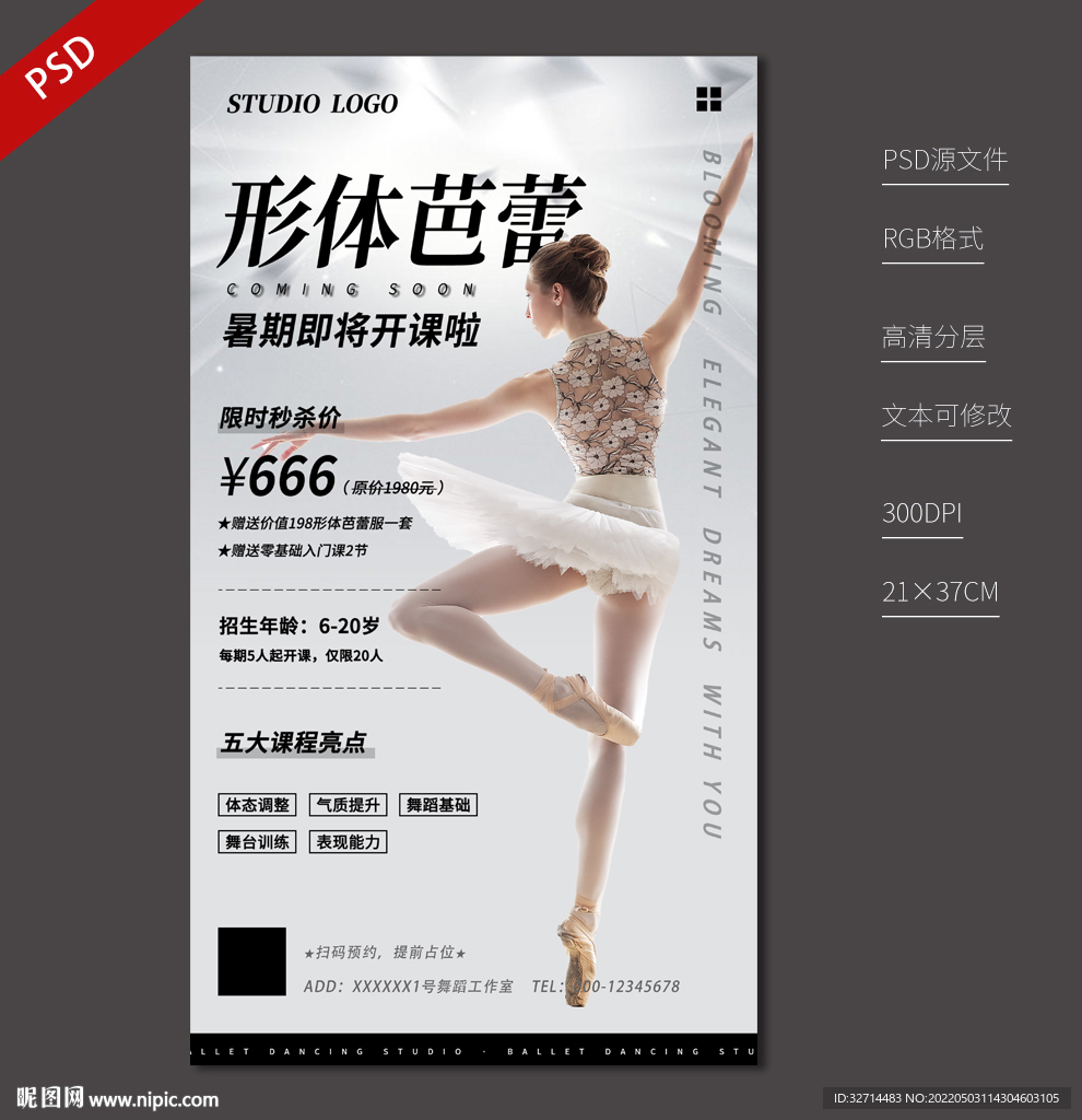 淡雅形体芭蕾舞蹈班宣传海报