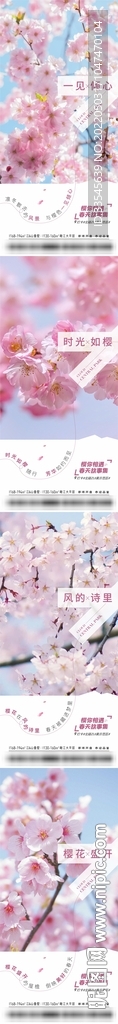 春天樱花价值点海报