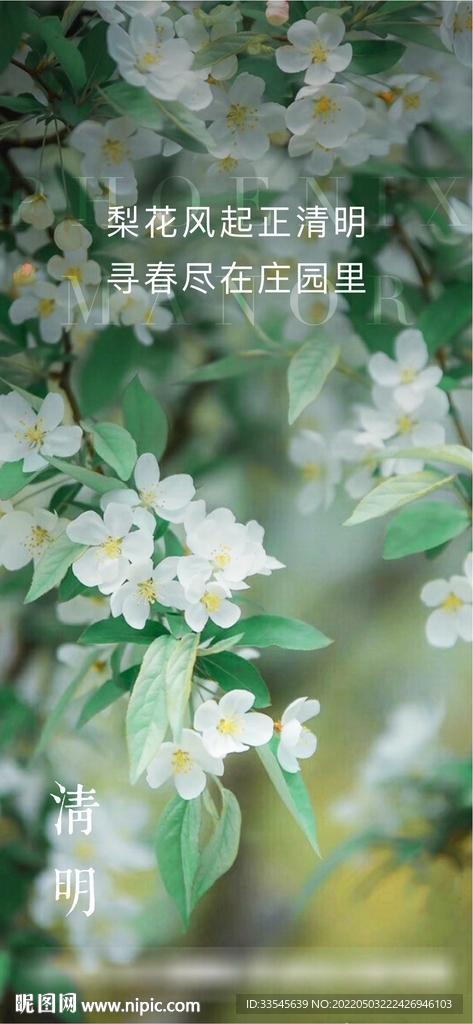 清明节海报 