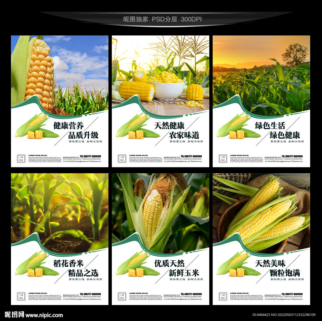 玉米