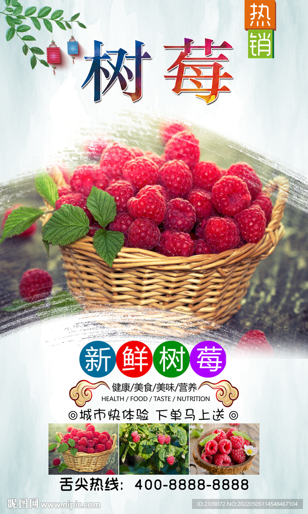 树莓  